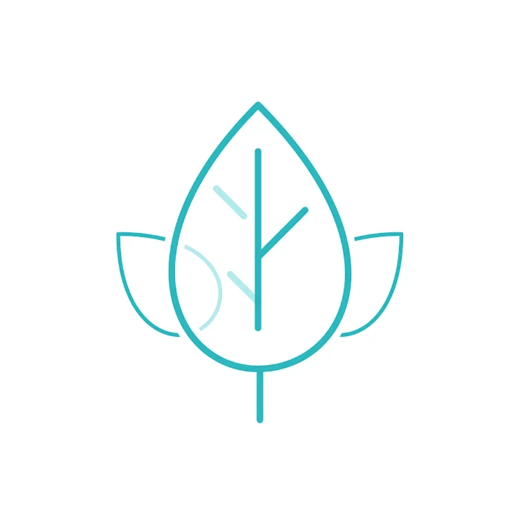 Curated Facials and DMK Enzymes